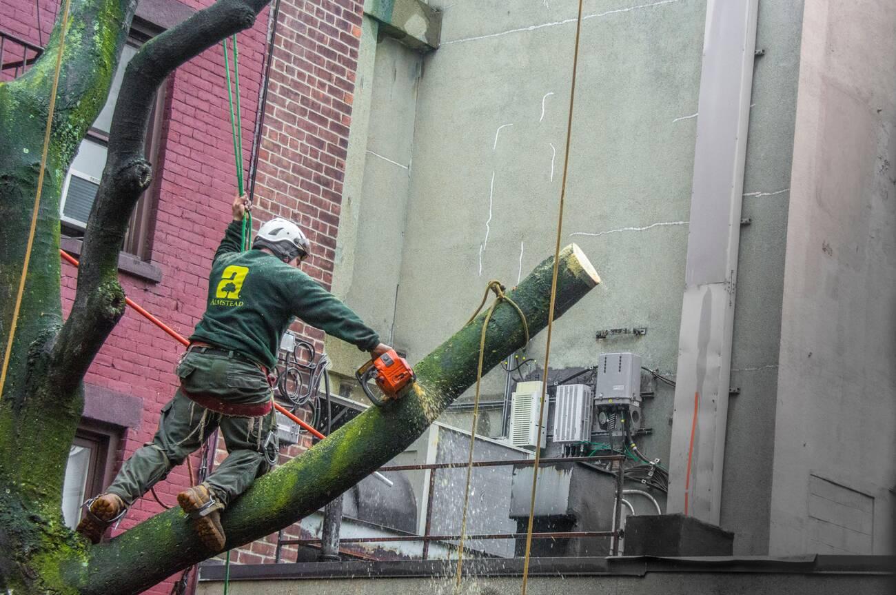 A man is working on the side of a building.