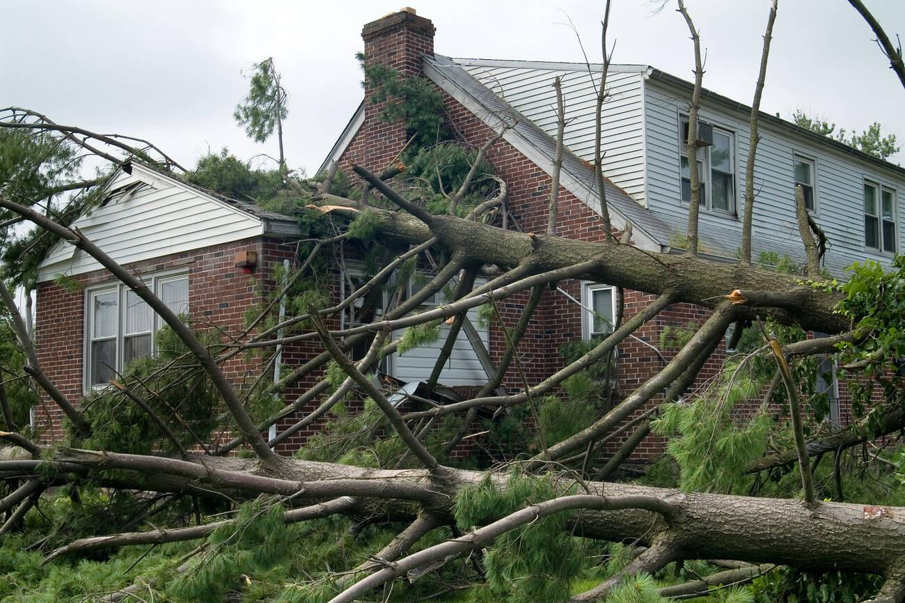 A house that has fallen over and is being hit by a tree.
