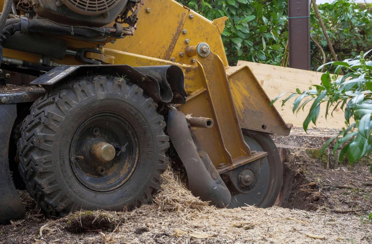 A yellow tractor is digging in the ground