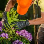 A person wearing gloves and an orange hat watering flowers.