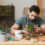 A man sitting at a table with plants in pots.